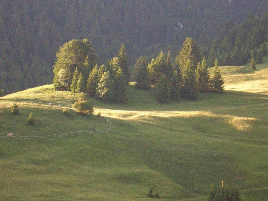 Alpenhof "Alt Laehn" Lähn Exterior foto
